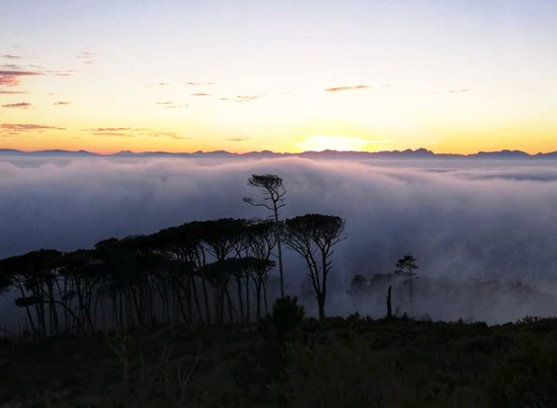 A foggy start to the week in Cape Town