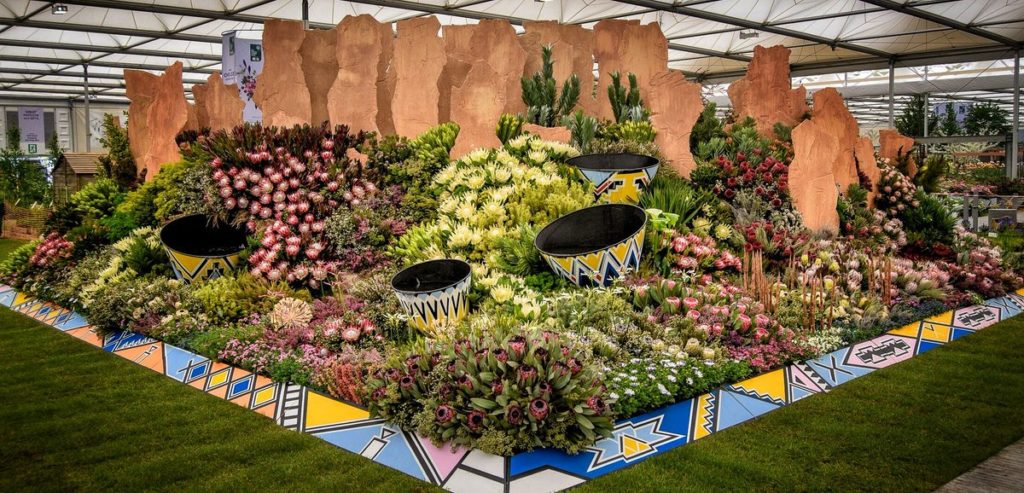 Kirstenbosch wins gold at Chelsea Flower Show