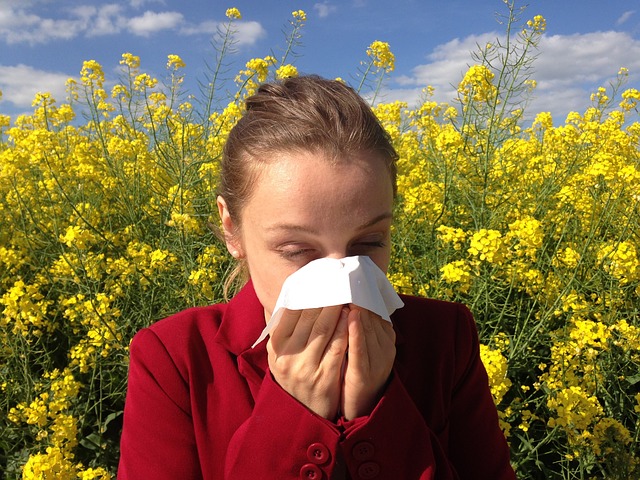 Cape Town pollen count at 10-year high