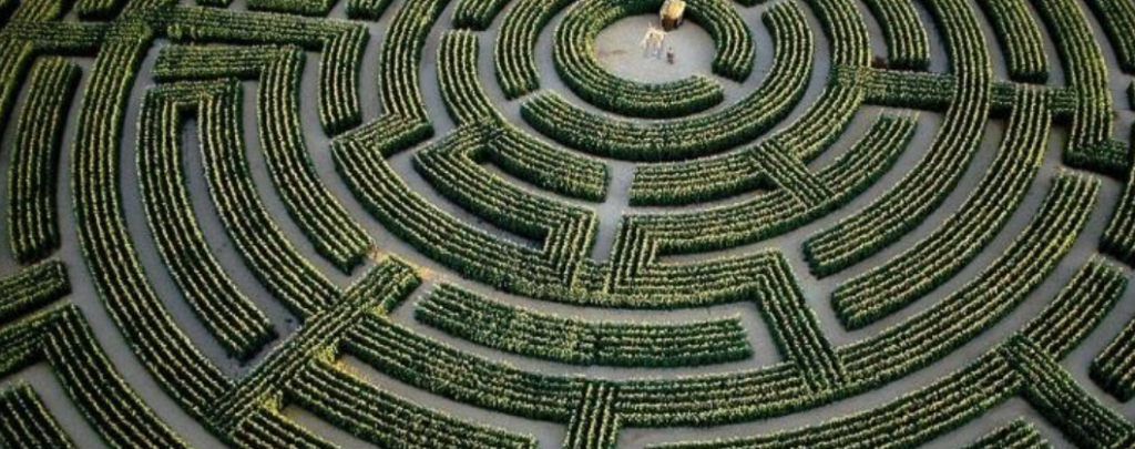Spekboom labyrinth ready for planting