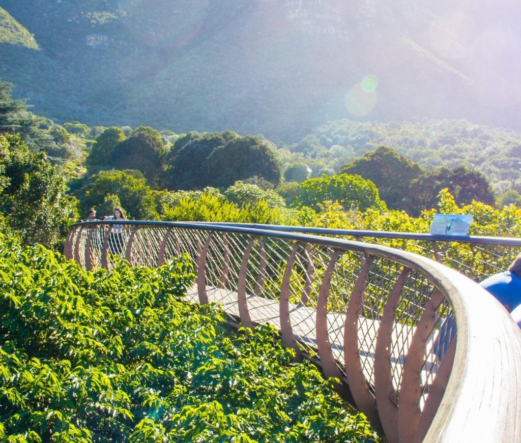 Kirstenbosch to reopen to public for outdoor exercise