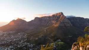 Researchers discover two new species on Table Mountain National Park