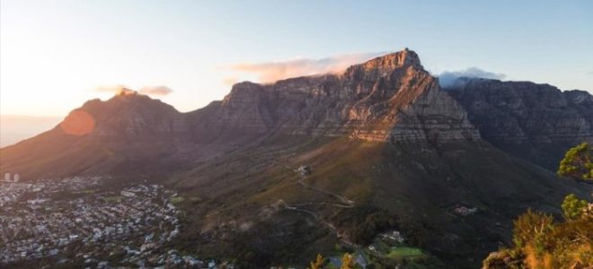 Researchers discover two new species on Table Mountain National Park