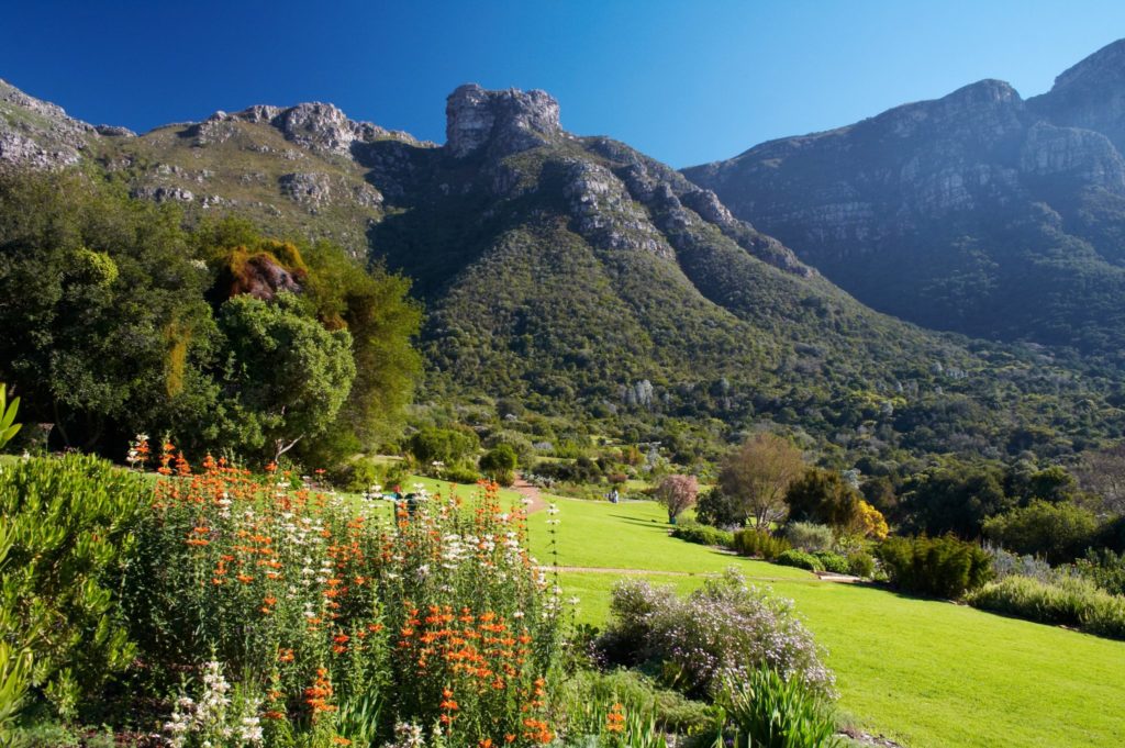 Kirstenbosch National Botanical Gardens awarded level 4 accreditation