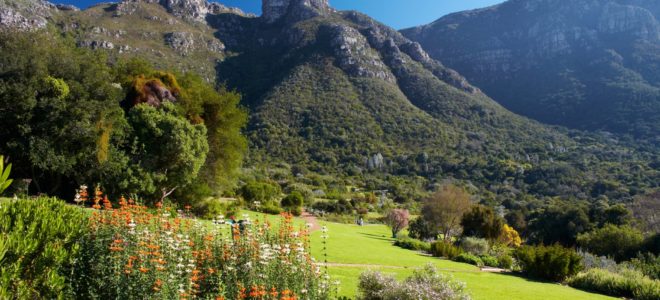 Kirstenbosch National Botanical Gardens awarded level 4 accreditation