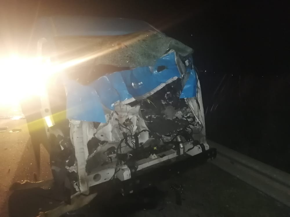 A taxi collided with seven horses and killed them