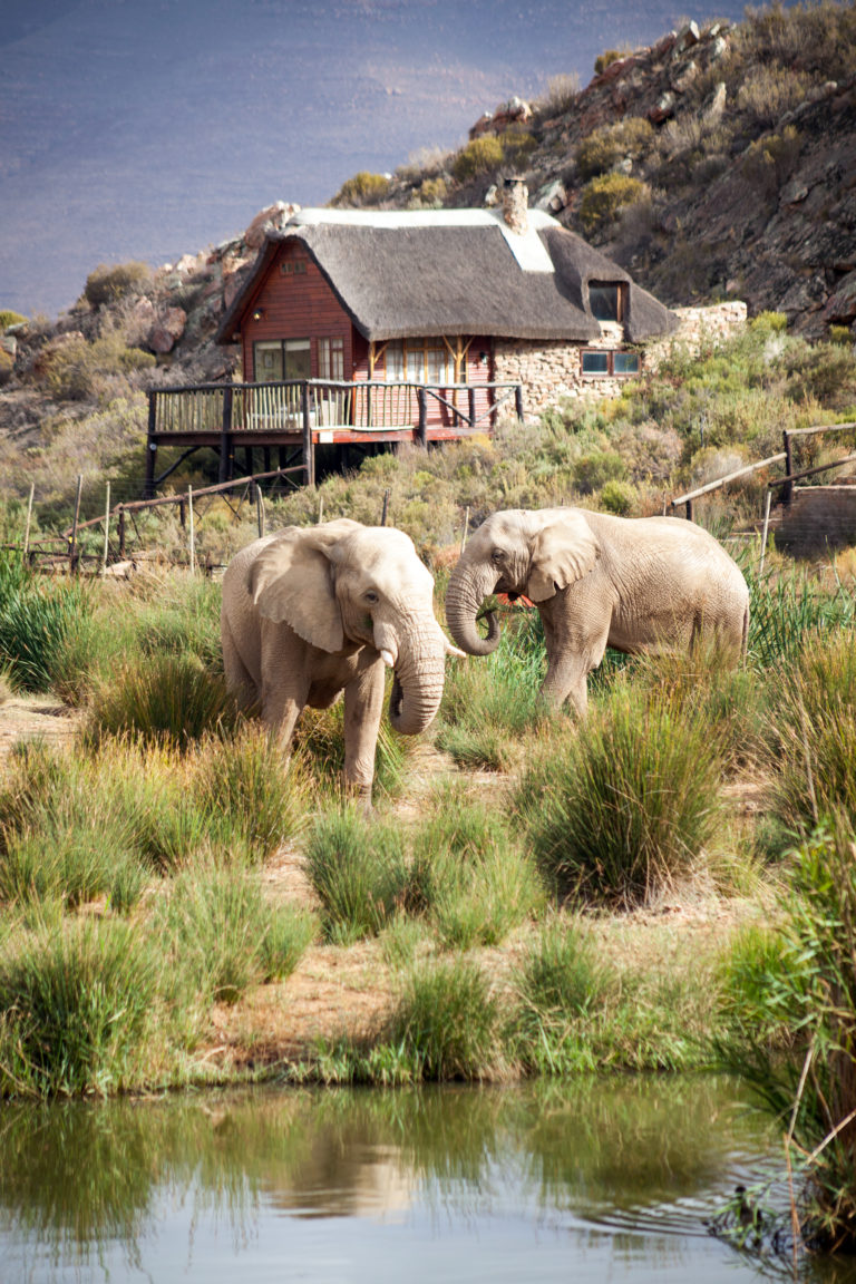 aquila private game reserve safari and spa