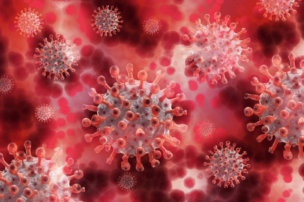 What we know about the SARS-CoV-2 virus