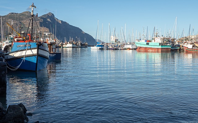 Here's why Hout Bay's Last Thursdays should be on your monthly bucket list