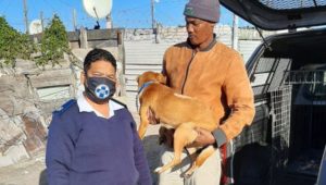 SPCA saves dog who was stabbed and left for dead