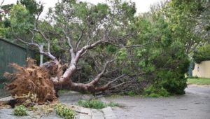 After the Cape storm: Mop-up operations begin
