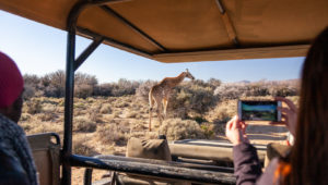 Weekend safari special at Inverdoon from August to September