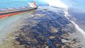 Drone footage captures locals cleaning up the Mauritius oil spill