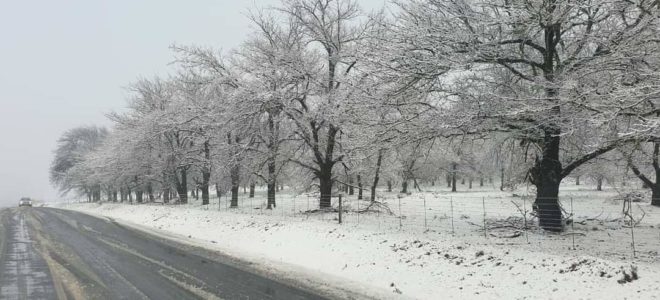 Snow blankets parts of Western Cape - Ceres, Sutherland and Matroosberg