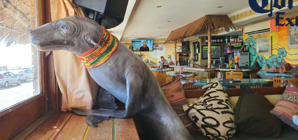 Pakalolo seals the deal with new statue of furry visitor
