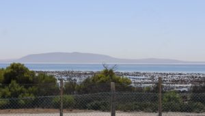 Robben Island Museum to reopen for tours