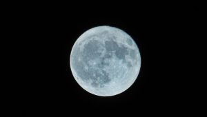 Blue moon on the rise for Halloween