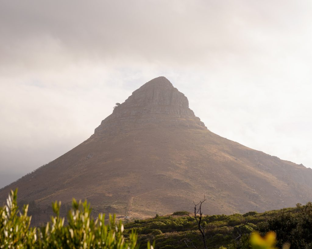 Lion's Head reopens to the public