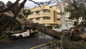 Gale force winds cause destruction in the Mother City