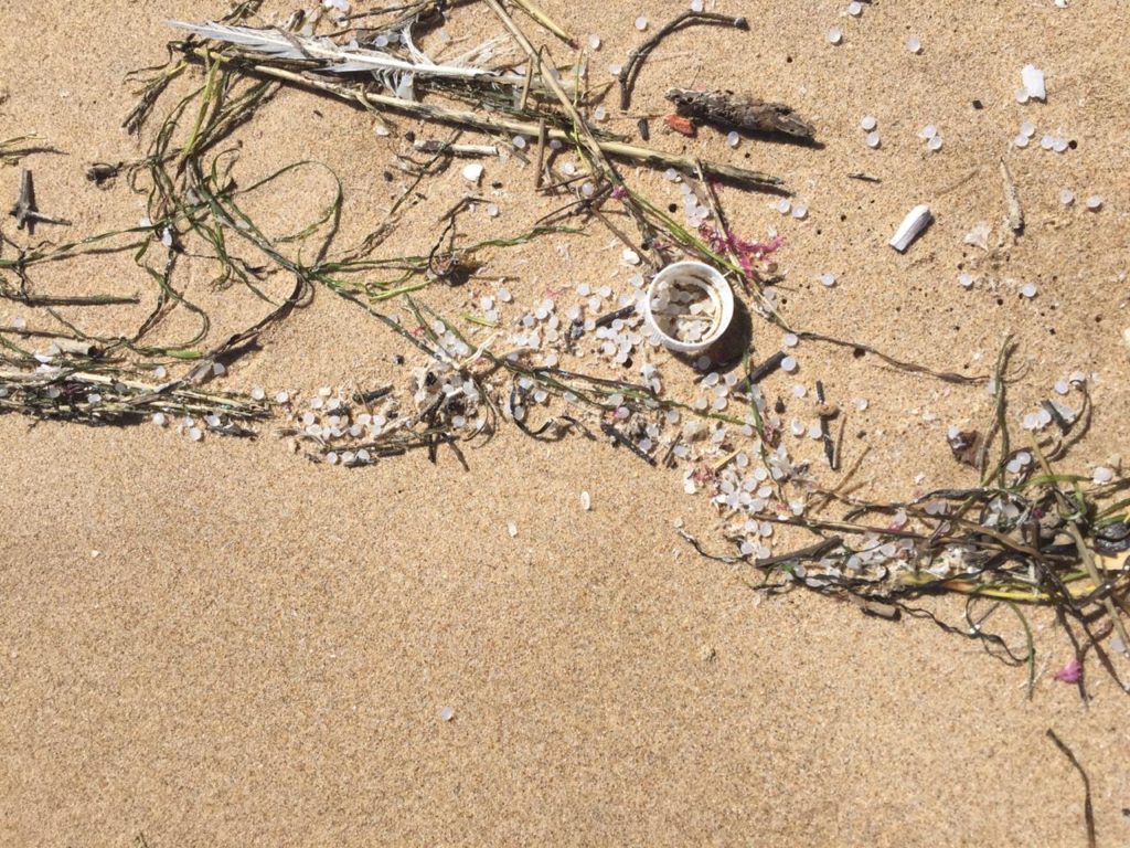 Influx of nurdles on Cape beaches may be result of container lost at sea