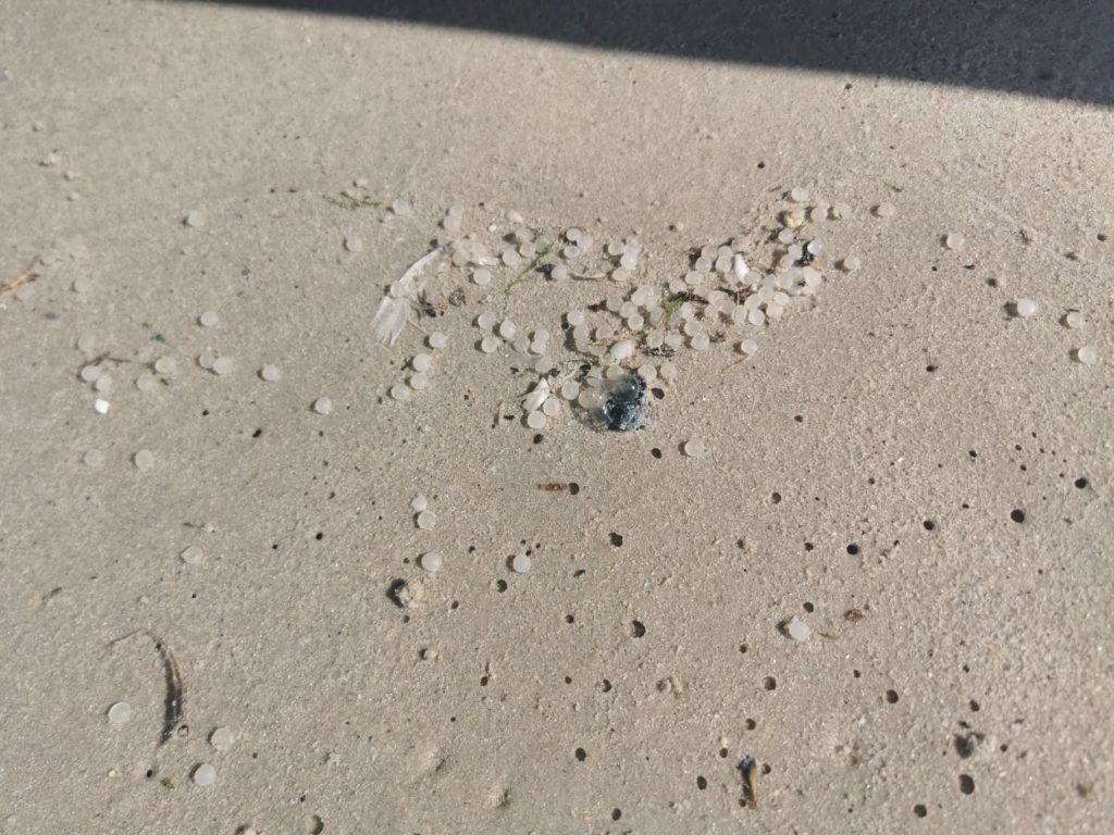 Nurdles wash up on Cape Town beaches
