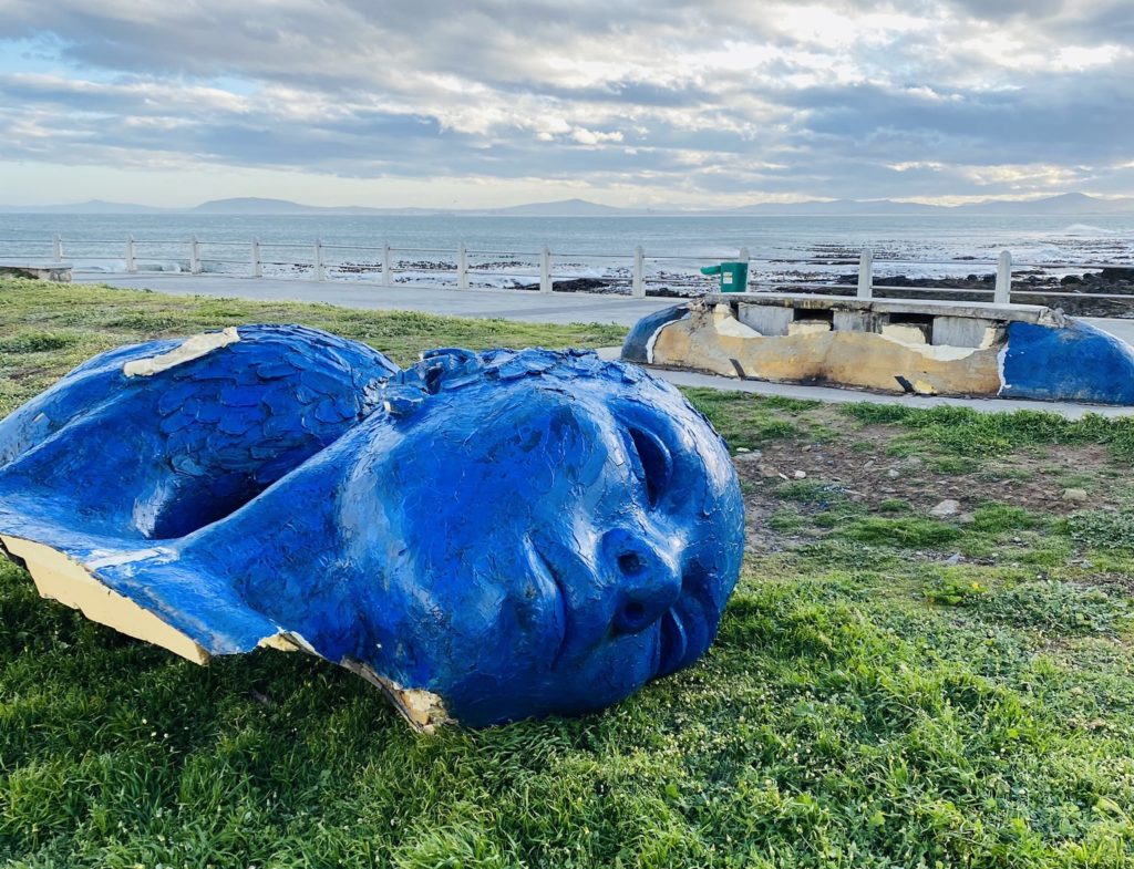 Blue heads don't survive Cape's windy weather