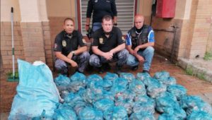 Western Cape man found with crayfish worth R3.5-million arrested