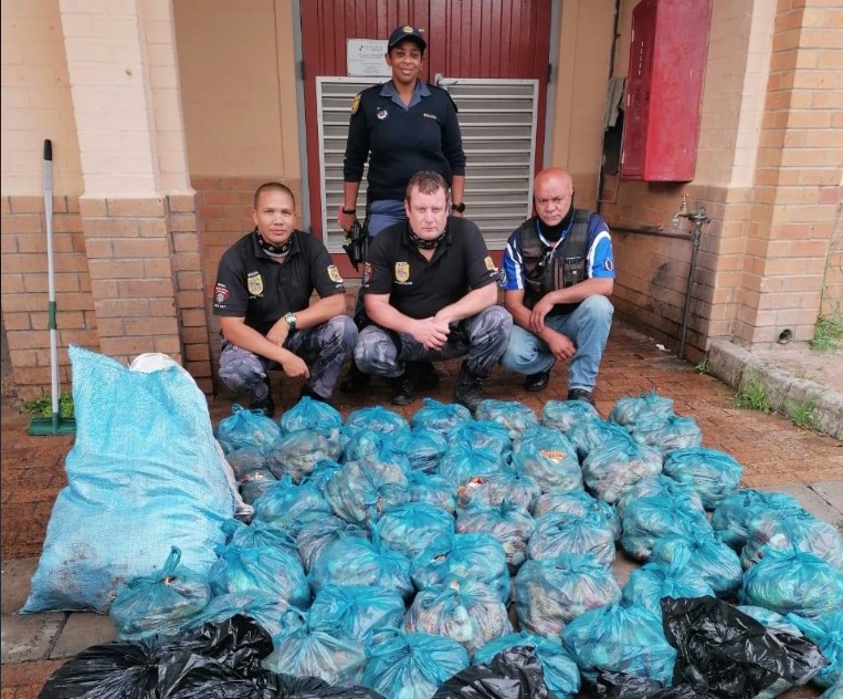 Western Cape man found with crayfish worth R3.5-million arrested