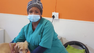 Mdzananda Animal Clinic seeking paw members and donations