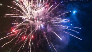 AWS appeals to public to stop Guy Fawkes fireworks