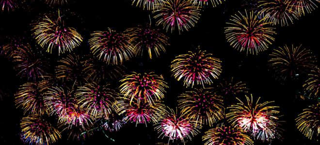 Floral firework display in Kirstenbosch Gardens