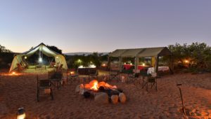 Sanbona Explorer Camp: A guided walking experience exploring the wilderness