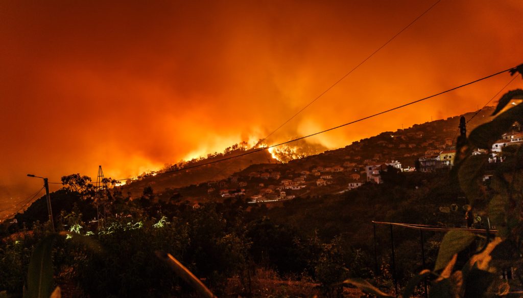 Western Cape prepared for wildfire season