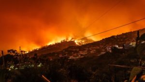 Western Cape prepared for wildfire season
