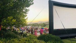 Enjoy an outdoor movie night on a Cape wine farm