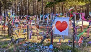 Tokai Forest's Ribbon Gate decorated to honour gender-based violence victims
