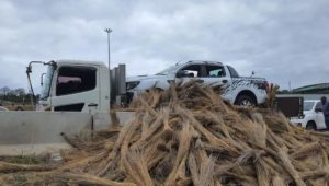 Stolen vehicle hidden under brooms en route to Mozambique recovered