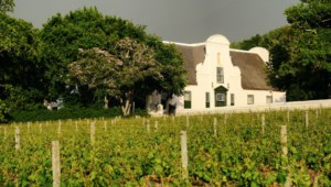 Groot Constantia Sauvignon Blanc named best in world