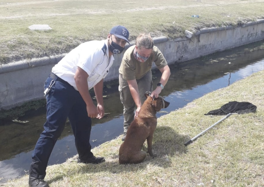 SPCA Cadet Inspector overwhelmed by public response to rescue video