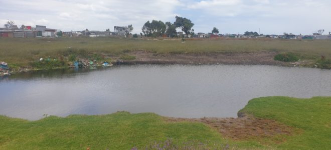 Covid-19 lockdown has hit the NSRI’s schools programme, with less than half the planned number of children getting water safety lessons this year ahead of the holiday season.