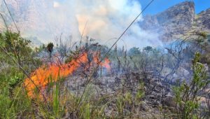 Fire breaks out on Du Toit's kloof pass after pair create shrine