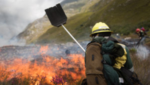 Be the hero this summer - report fire and smoke quickly