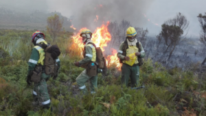 Firefighters battle Grabouw blaze