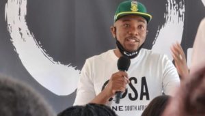 Maimane's movement to back independent candidates in local elections