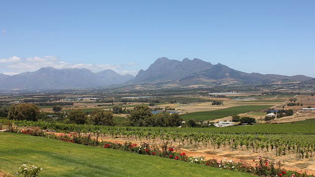 Red Alert Level 10 fire warning issued for Cape Winelands