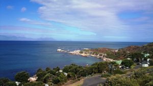 No-waste bin zone trialed at Miller's Point in Simon's Town