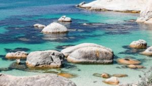 7 favourite Cape beaches worth visiting