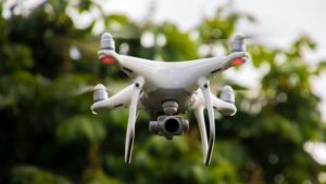 SANParks reiterates its "no-drones" policy