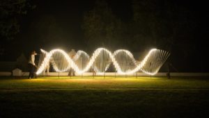Lighten up your weekend with the Spier Light show