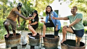 Wine it up at the Muratie Harvest Festival this weekend
